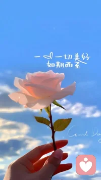 听你所说的，理解你的感受，愿你心里有光，眼里有尘，好好爱自己