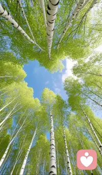 倾听师是通过专业训练帮助他人疏导情绪、梳理问题的心理咨询辅助职业，侧重陪伴式聆听与情绪支持。配图