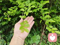 我能倾听你婚姻里的悲欢，接纳你育儿中的焦虑，陪伴你创业路上的坚守。