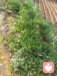 蓝天，白云，蝉鸣，鸟叫才是夜里成年人放松的最好方式，把身体还给自己，把灵魂送归平凡！