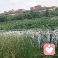 爱   能包容一切  爱   能治愈一切