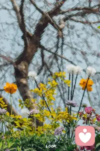读书给与你力量、温暖
 
很多女性至死都不明白
并不是退到男人身后就安全了，
真正能给你撑腰的，
是稳定的情绪和良好的经济。
 
——余华《女人的胜利》配图