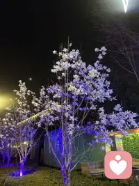 读书给予你力量、温暖
 
过去都是假的，回忆是条没有尽头的路。
 
——马尔克斯《百年孤独》配图