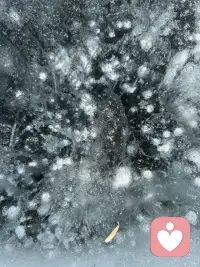 花时间塑造自己，少研究别人。
一个明智的人，
不会因为别人有别的东西，就停止享用自己的快乐。
 
——罗素配图