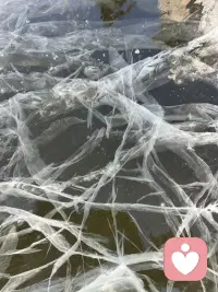 花时间塑造自己，少研究别人。
一个明智的人，
不会因为别人有别的东西，就停止享用自己的快乐。
 
——罗素配图