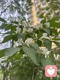 美好本身就值得被记录和分享配图