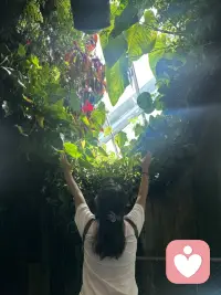 你只需记住，世上只有两种事：
一种是好事，
一种是你暂时还不知道
好在哪里的事
 
《凡事发生必有利于我》配图