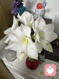 职场待人处事，遇到指责和挑剔的声音，不必急于辩解，也不必耿耿于怀。
换个角度换位思考，少一点恶意揣测，多一份读懂人心。
先包容肯定，再从容沟通，不内耗、不纠结，守好自己的心态，便是最好的修行。
