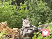 人生是可以慢半拍的，再慢拍。                                                                                    生命的钟表不能一味的往前拨，                                                                                  要习惯自己是生活的迟者                                                                                         迟子建《也是冬天，也是春天》配图