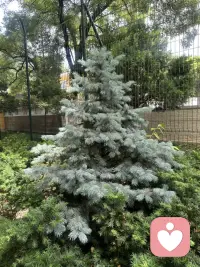 把“自我实现”当做“生存底线”，这是多数人们焦虑的原因。
不要去尝试控制你控制不了的东西，不要对不确定性的东西有过高期望的确定性，不要对有限的时间，生命，认知有无限的渴求。
程乐松一席演讲配图