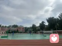 有些南墙，只有自己撞上去之后才知道回头啊配图