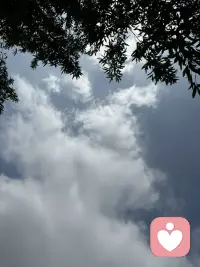 周末了，偶尔远离人群，去亲近大自然，一草一木都能赋予你能量，我对天空情有独钟，正如海子的诗：“天空一无所有，为何给你安慰！配图