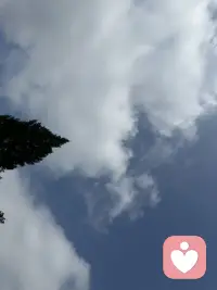周末了，偶尔远离人群，去亲近大自然，一草一木都能赋予你能量，我对天空情有独钟，正如海子的诗：“天空一无所有，为何给你安慰！配图