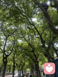 每天找出真正属于自己的一小段时间来做正念练习，坚持下去，让自己空荡的心灵丰盈起来，找到做自己的感觉