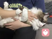 我们把生命造成黑暗狭小的笼子，却又把他当做整个宇宙。由于我们被关在这个笼子中，很少有人能够想象另一个真实面