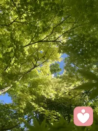 假如你想知道谁是控制着你的人，那你就看看谁是你不能批评的人。