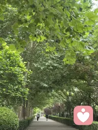 什么是家族里的英雄，不是那些赚了很多钱的人，也不是那些取得了很高社会地位的人，而是在自己身上终结代际创伤传承的人，这是脱不花老师看完《中国式家庭》后说的一段话，
也是从这几天接到的来访者身上看到了这种要在自己身上终结代价创伤的力量，为终结者英雄点赞👍。配图