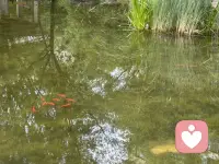 木心说：人生常态本就是不知如何是好。
你此刻的纠结困顿，一点都不特殊。