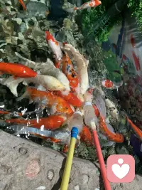 苏格拉底的名言：未经审视的人生，是不值得过的。

很多人活着纠结，在寻找意义，这些也是对自己人生负责的表现。

但是我想说：

慢慢去发掘日常藏着的温柔与美好，好好感受美好带来的松弛与欢喜；放下防备，坦然接住奔赴而来的爱意，也拿出热忱真诚待人，在爱与被爱里舒展自我，好好生活。