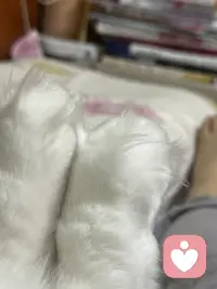所有人只要还活着就有改变自己的可能，甚至是彻底改头换面的可能性，并非只有孩童才具有可塑性。-卡伦霍妮《我们内心的冲突》