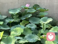一个多月没在线啦，我回来了，想深度聊天的可以来啦。
