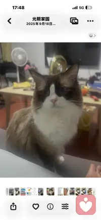 生活就是要勇敢的向前，你的过去终将会被你的未来治愈