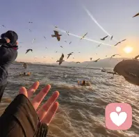 心有尺，行有度，不贪满，不过界，进有欢喜，退有从容。守好自己的边界感，少焦虑少内耗，人生短短三万天，过好今天，明天，剩余的每一天[比心][比心]
清风不扰人间事，暖阳自照赶路心❤