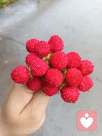 另一半出轨真的能原谅吗？
正在经历中，感觉心里还是不能原谅配图