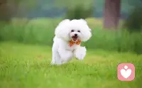 很多时侯，我们之所以感觉活得很累，并不是因为我们过得不好，而是我们太在意别人对自己的看法。配图