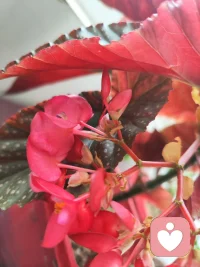 从今天起，我们不内耗，不纠缠，不害怕。换不了环境，就换心境；换不了别人，就换自己。把自己活成最滋养自己的环境！配图