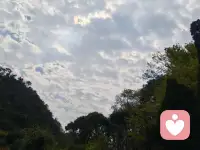 人这一生最大的修行就是接纳自己，所有过往皆是云烟，明天一切皆是未知。学会接纳平凡的自己，才是不平凡的人生！配图