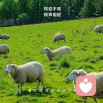 朝阳倾听的头像