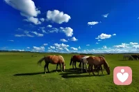 人与人的关系中，只有爱自己才是获得爱与关注的终极通道。