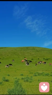 人与人的关系中，只有爱自己才是获得爱与关注的终极通道。