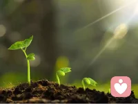 生命的原动力是如此的蓬勃，虽然历经寒冬的淬炼磋磨，它们越发张力十足，生机盎然！