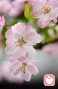 菩萨畏因，众生畏果。如果人人都能有一些了解敬畏因果，我想，执念与痛苦会少很多。