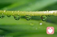 菩萨畏因，众生畏果。如果人人都能有一些了解敬畏因果，我想，执念与痛苦会少很多。