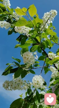 情感关系中的妥协不是坏事，有效的妥协，可以促生底线，划定边界，可以让情感关系更健康，美好。