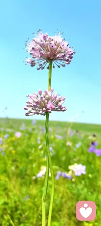 情感关系中的妥协不是坏事，有效的妥协，可以促生底线，划定边界，可以让情感关系更健康，美好。
