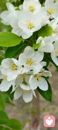 情感关系中的妥协不是坏事，有效的妥协，可以促生底线，划定边界，可以让情感关系更健康，美好。