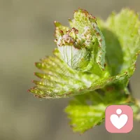 恋爱脑可以理解，毕竟年轻的生命荷尔蒙爆棚，但是，一辈子恋爱脑就不可理喻了。