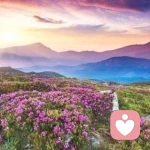 相濡以沫的头像