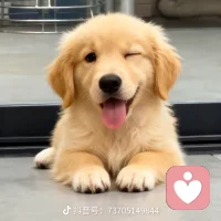 快乐是可以传染的！希望你认识我的那一刻都是幸福的！