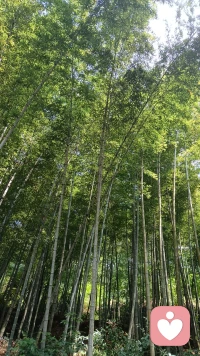今天接了一个男孩找骂的单子，他说自己很无能，身体哪方面也不行！让我尽全力骂他一顿，我知道没有人愿意让谁去骂，可能是一种自卑，可能是种宣泄！我没有嘲笑，只有同情，花钱找骂人是种什么心里呢，是压抑，是灰沉还是另一种解脱！！！！！