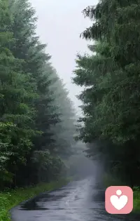晚场走起，
酒入相似情入魂，
情由心❤️，动不由人，