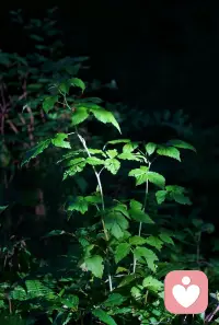 此时此刻，你在干什么呢？配图