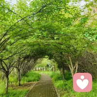 情绪本就没有对错，允许自己难过，不必强迫自己立刻振作，你有足够的时间，与自己温柔和解！