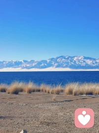 心里空落落、做什么都没劲儿、反复回想、反复内耗，明明知道该放下，却走不出迷茫。给你一段温柔又清醒的话，帮你慢慢走出来。
走出分手后的迷茫期
 
     分手带来的从不是失去一个人，而是突然失去了习惯、陪伴和未来的幻想，所以你会迷茫、会慌、会怀疑自己，这都很正常，不是你脆弱。
 
迷茫的本质，是你还在把“他/她的离开”当成对你的否定。
但其实：
 
- 不合适分开，是及时止损，不是失败
​
- 他选择离开，是他的选择，不是你不够好
​
- 你难过，是因为你重感情、真心爱过，不是软弱
 
     你现在要做的，不是强迫自己立刻开心，而是允许自己难过，但不允许自己沉沦。
 
3 步慢慢走出迷茫
 
1. 停止复盘，停止追问“为什么”
过去已经定局，再想一万遍也改不了。越纠结，越走不出来。
​
2. 把注意力强行拉回自己身上
去睡觉、吃饭、运动、工作、学习、见朋友。
你越专注自己，越会发现：没有他，你的人生依然可以发光。
​
3. 接受“我们只是路人”
有些人出现，只是陪你走一段；
有些人离开，是为了让你遇见更对的人。
真正属于你的，不会让你一直迷茫、一直委屈。
 
你要明白：
走出迷茫的从来不是时间，而是你突然想通：我值得被好好爱，而不是在一段关系里自我怀疑、苦苦支撑。
      你现在的痛，都是在清理错的人，腾出位置给对的人。
慢慢来，你会越来越清醒、越来越强大、越来越耀眼。
 如果你愿意，我可以陪你梳理：你现在最难受、最卡住的点是什么？配图