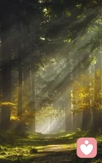 我是一名倾听师
我是心灵的陪伴者，是情绪的收纳盒。我们不是心里咨询师，不提供治疗方案，而是用专注且不带任何评判的倾听，为你打造一个安全私密的空间。在这里，你可以尽情的倾诉生活的烦恼、工作的压力、情感的困惑。倾听师会像一面镜子，通过适时的提问与反馈，帮你看清内心，激发你自身解决问题的力量。让你在人生的道路上，重拾前行的勇气与智慧。配图