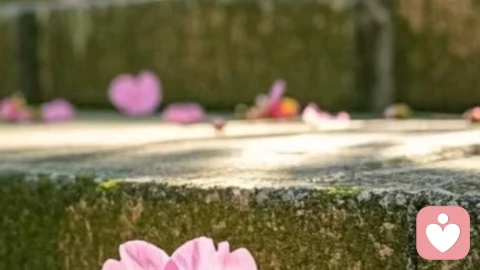 孕期情绪敏感不是矫情，是每个妈妈都在经历的心理变化